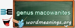 WordMeaning blackboard for genus macowanites